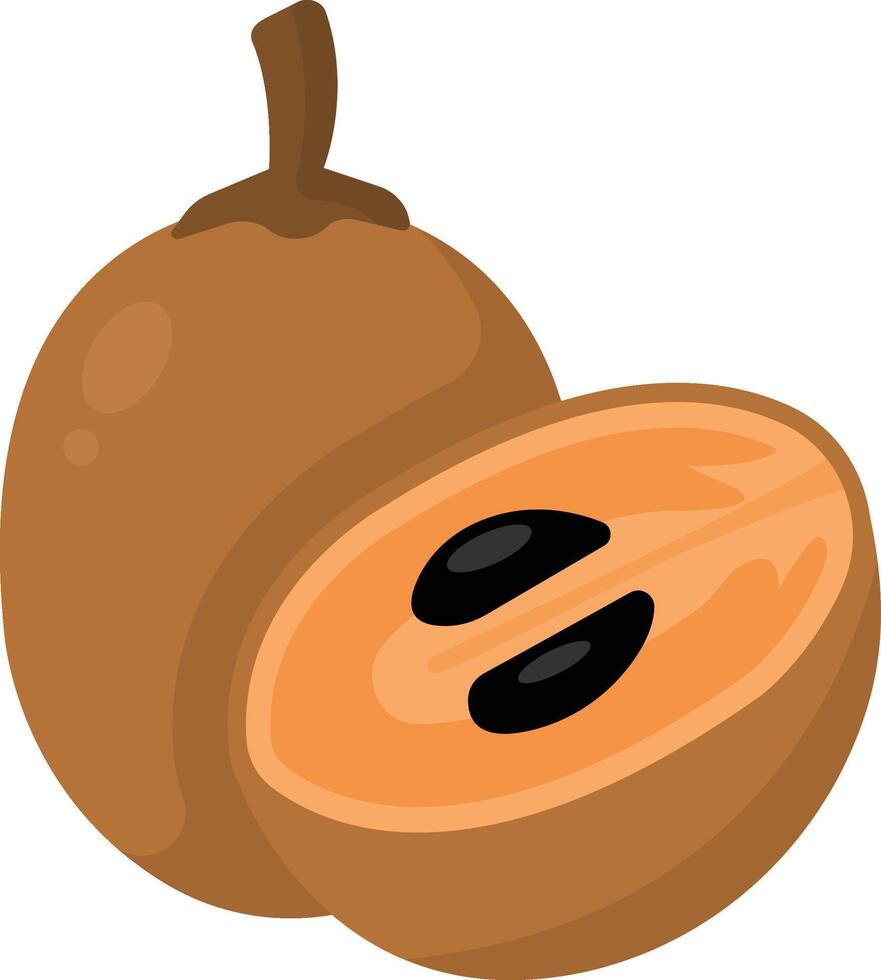 Sapodila Fruit Cartoon Ilustration Design vector