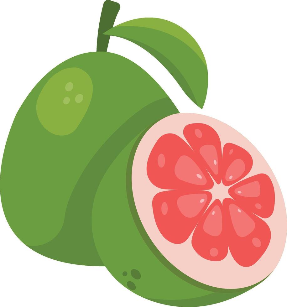 Pomelo Fruit Cartoon Ilustration Design vector