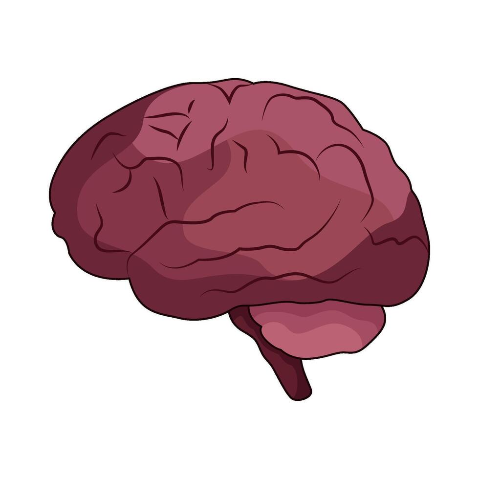 illustration of brain vector