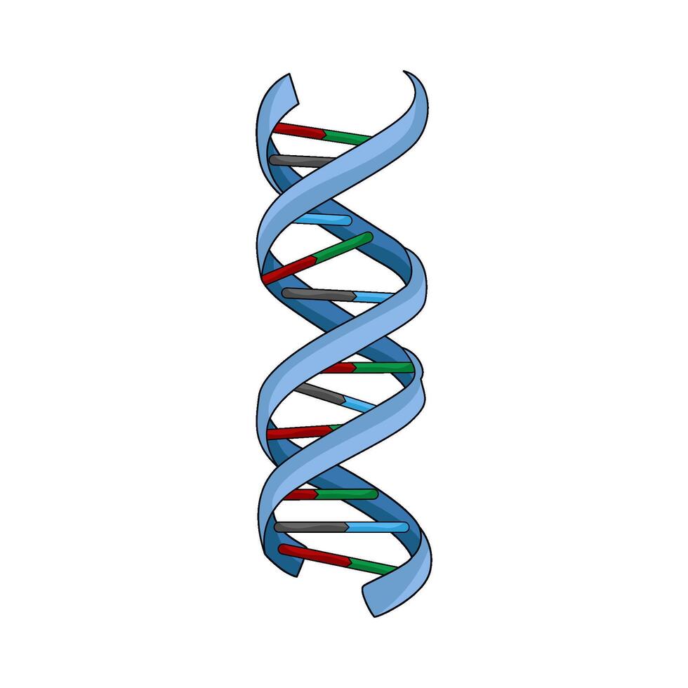 illustration of DNA Helix vector