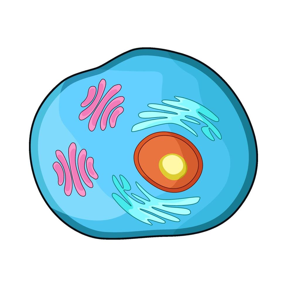 illustration of Animal Cell vector