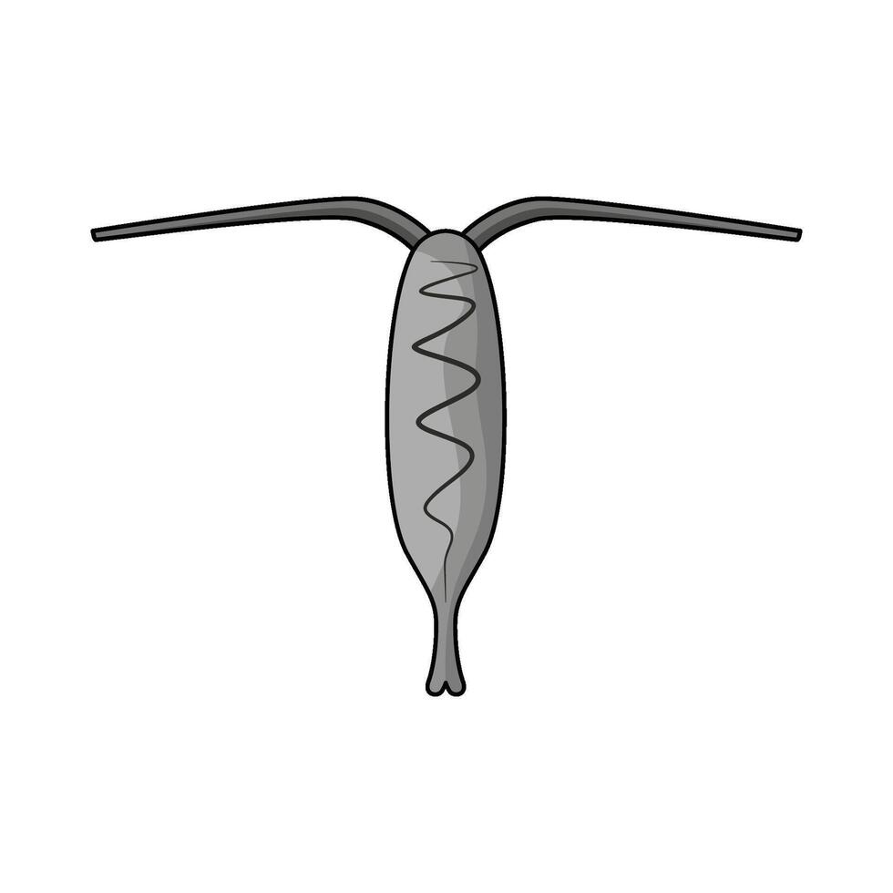 illustration of Plankton vector