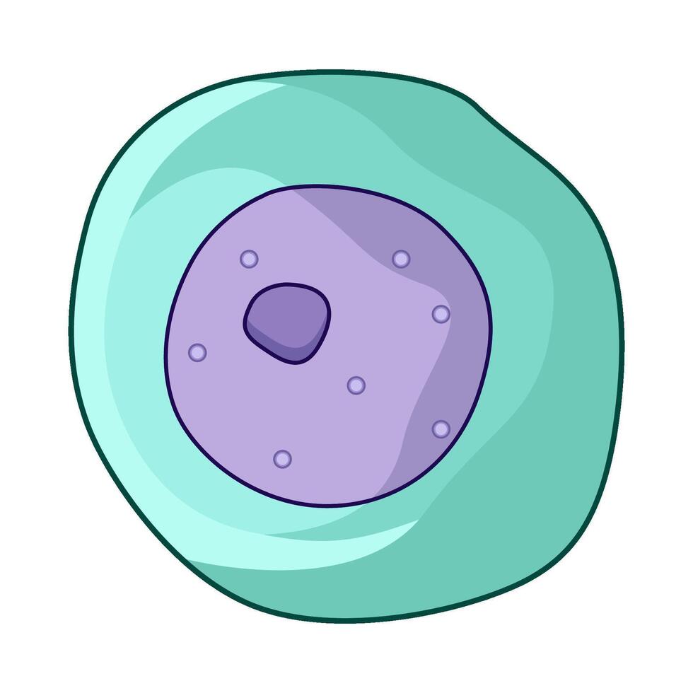illustration of Nucleus vector