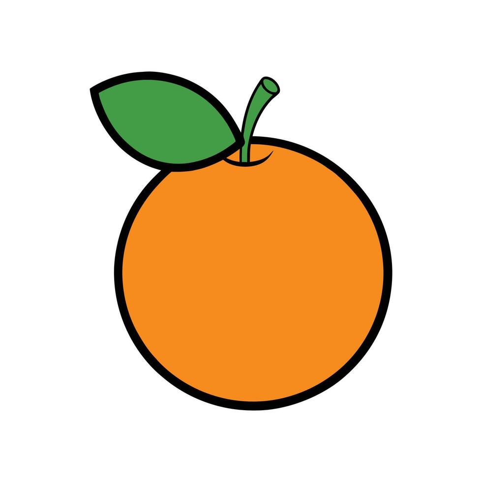 orange fruit illustration vector