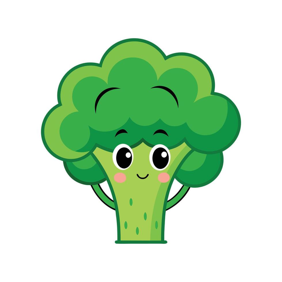 Broccoli vegetable background vector