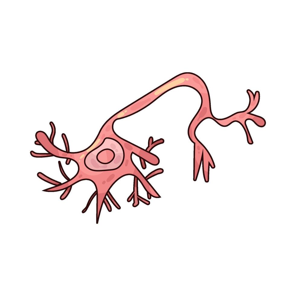 Nerve Cell illustration vector