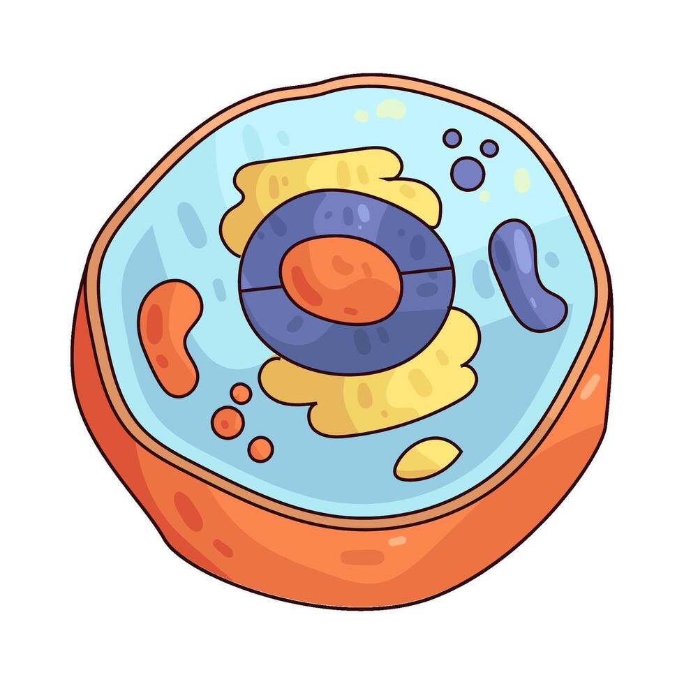 illustration of Animal Cell vector