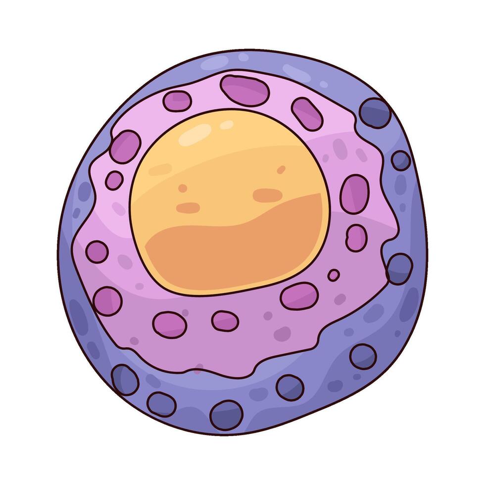 illustration of Nucleus vector