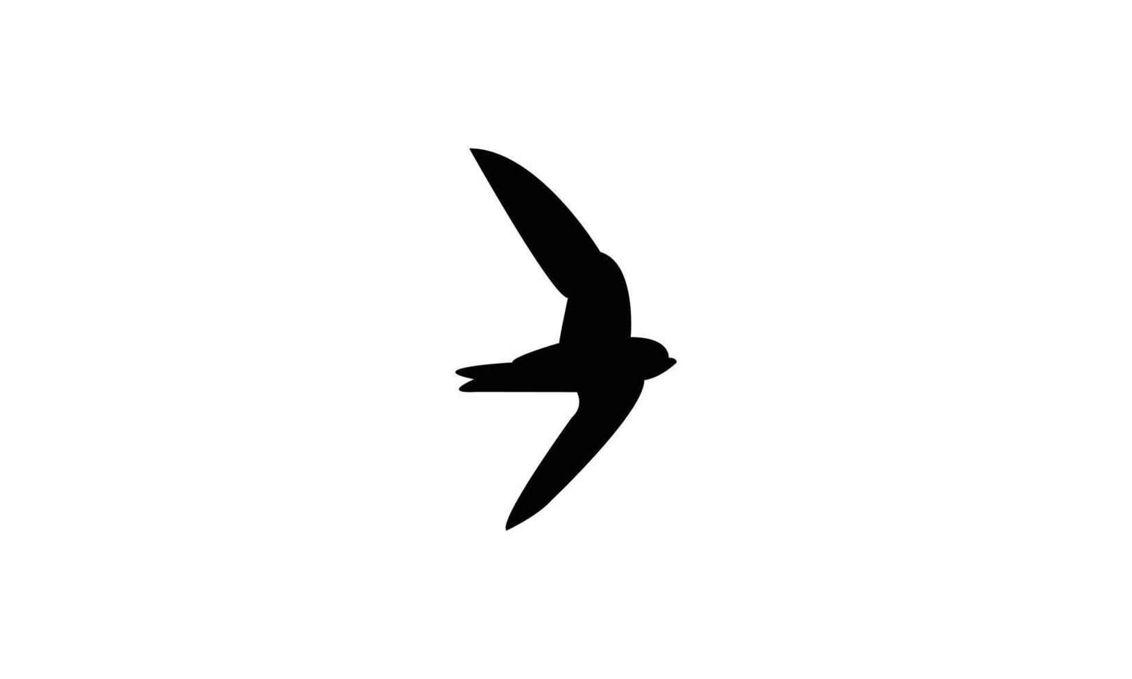 Flying Swift Bird Silhouette vector
