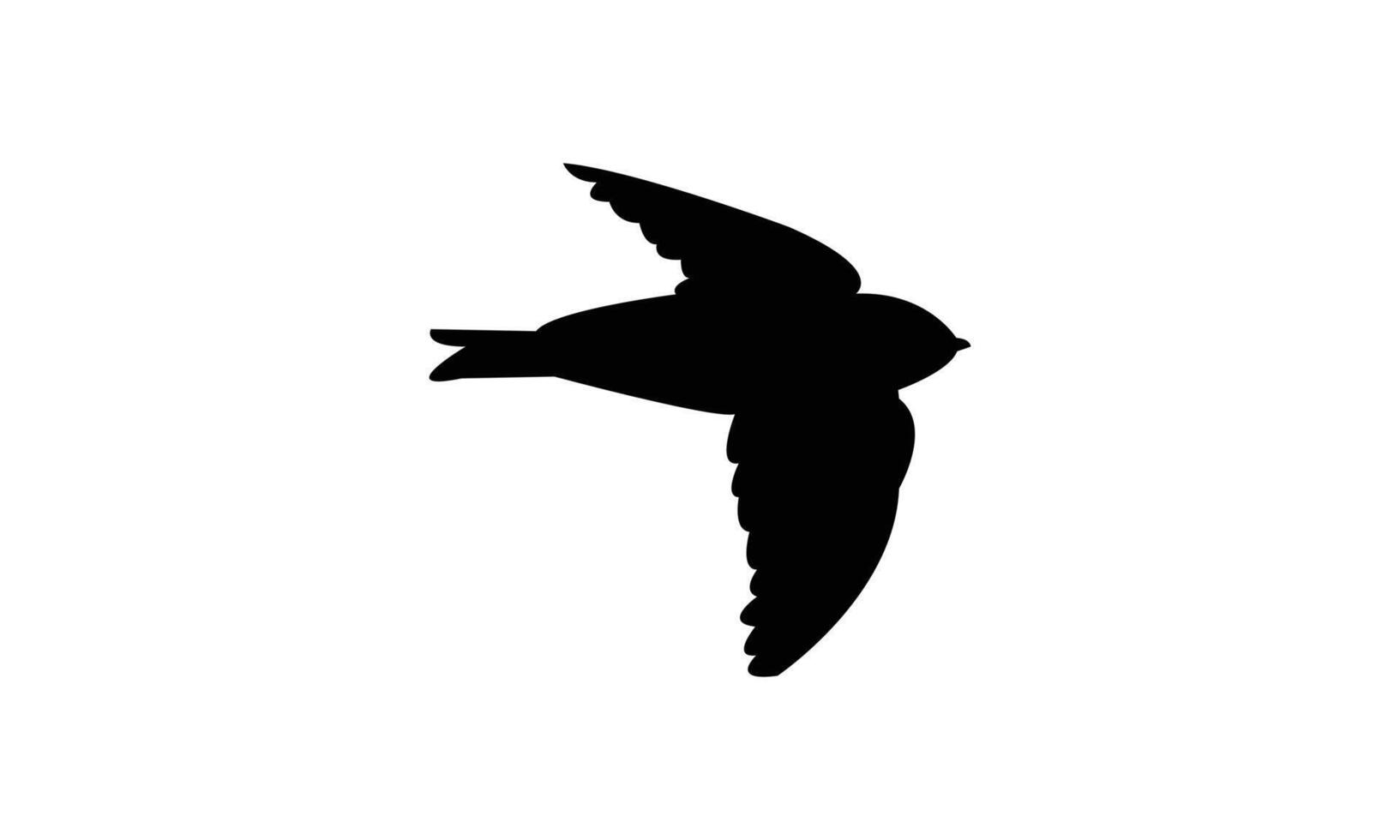 Flying Black Swift Bird Silhouette vector