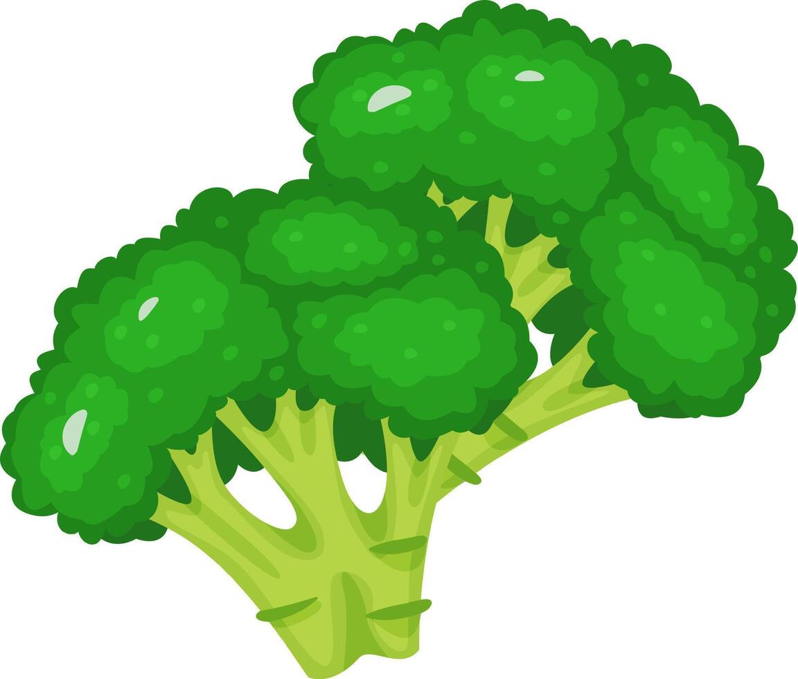Vibrant green broccoli florets with detailed texture, showcasing their fresh and healthy appearance. Ideal for promoting healthy eating, vegetarian diets, and organic food concepts vector
