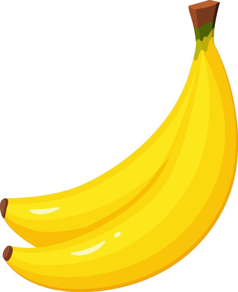 Two ripe bananas are laying on a white background, forming a beautiful yellow crescent shape, perfect for healthy eating and tropical themes vector