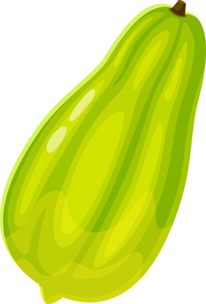 Single, whole, unripe papaya fruit with green peel and stem, isolated on a white background, showcasing its natural appearance and freshness vector