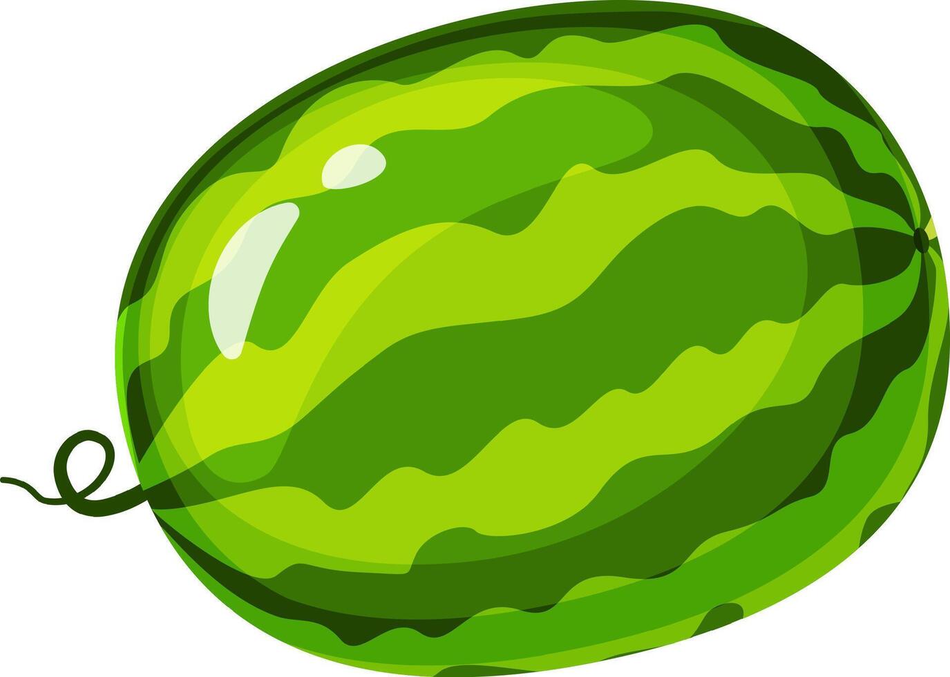 Vibrant green stripes adorn a whole watermelon, its curly stem adding a touch of whimsy to this refreshing summer fruit, perfect for juicy slices on a hot day vector
