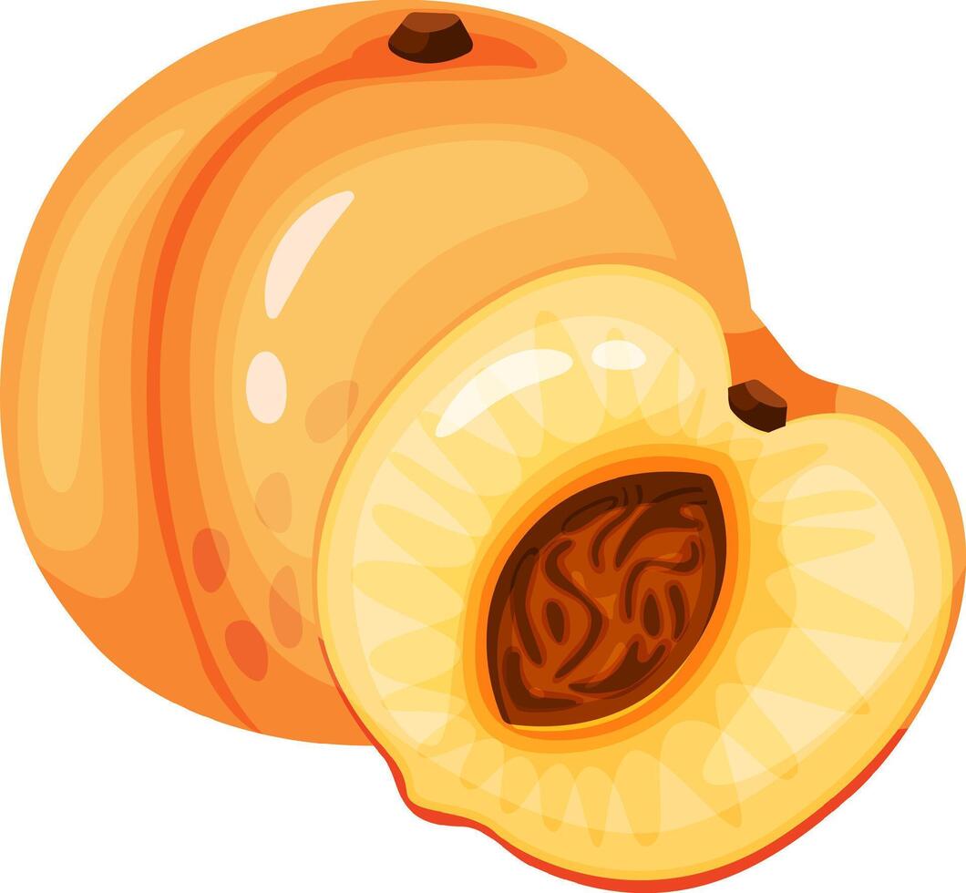 Ripe peach, cut in half, reveals a visible seed surrounded by juicy, delicious pulp, ideal for healthy eating and refreshing summer recipes bursting with flavor vector
