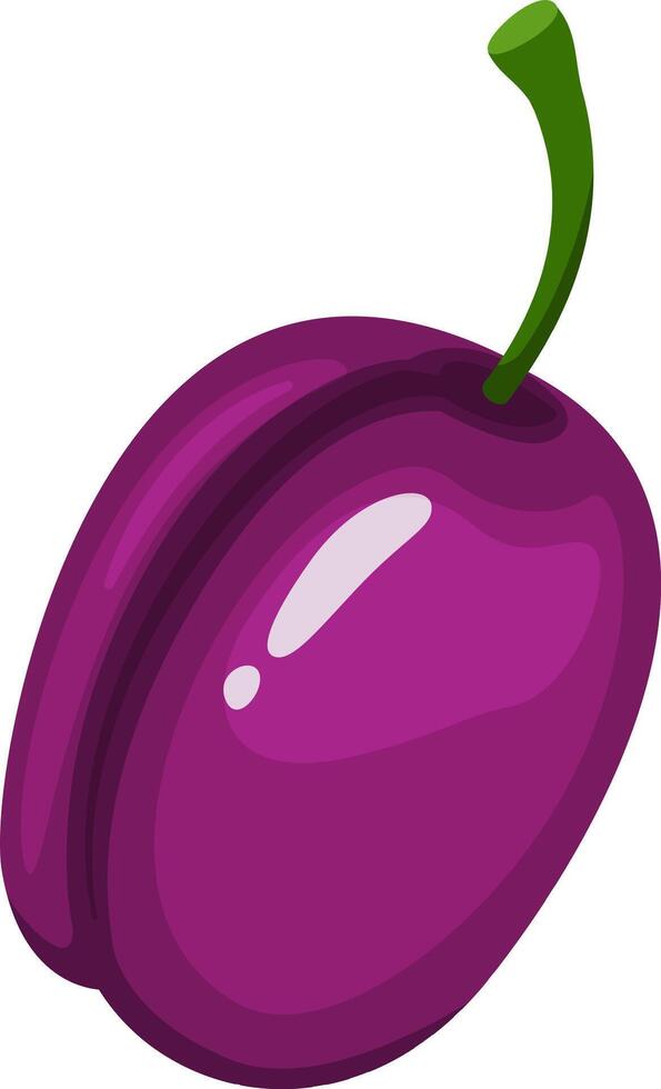 Glossy purple plum featuring a vibrant green stem, embodying freshness and sweetness, perfect for promoting healthy eating and enhancing fruit themed designs vector