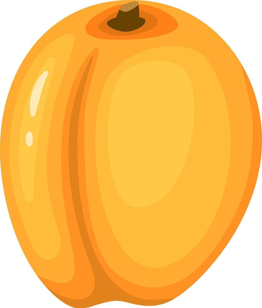 Juicy and vibrant, this illustration of a ripe apricot embodies the essence of healthy eating, its bright color and smooth skin promising a burst of flavor and nutrients vector