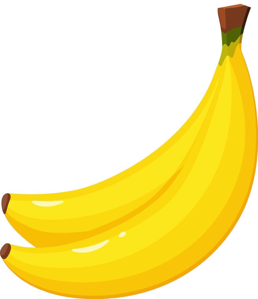 Two ripe yellow bananas creating an appealing arrangement on a bright white background, embodying healthy eating and vibrant tropical fruit themes. Perfect for nutrition and wellness concepts vector