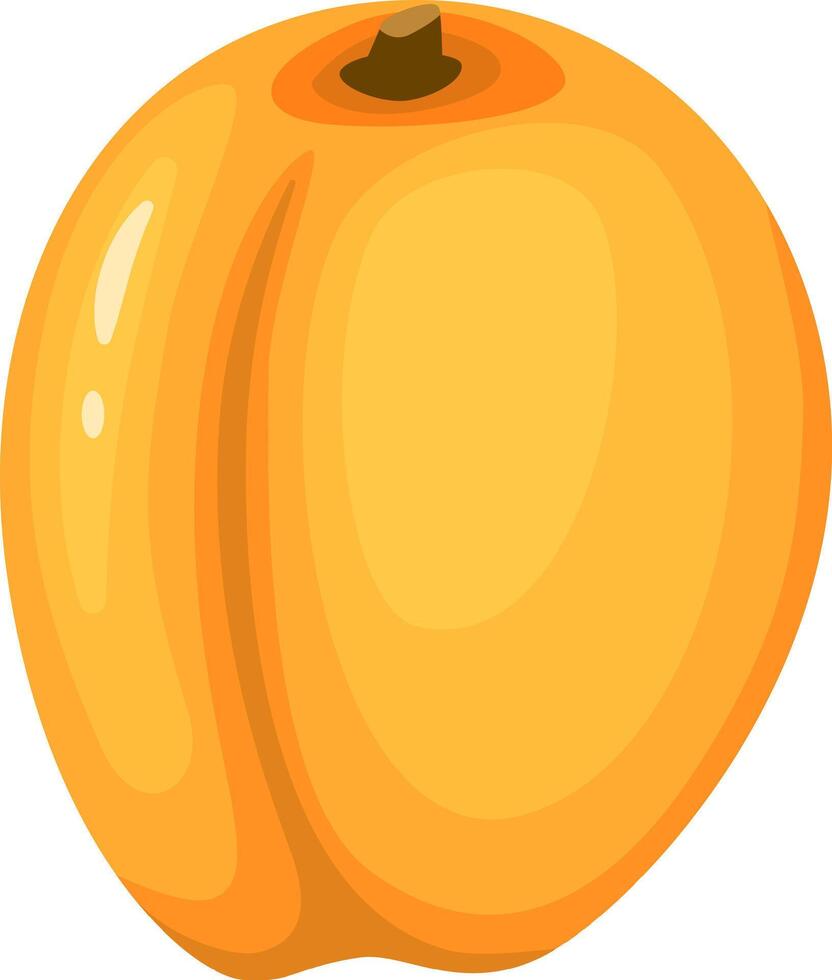 Vibrant and juicy ripe apricot, displaying a rich orange hue and delicate textured skin, embodies the essence of summer's bounty and the joy of fresh, healthy eating vector