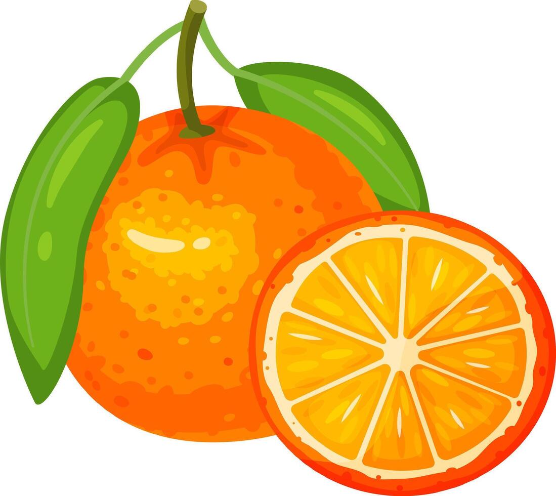 Ripe orange with vibrant green leaves is presented alongside a perfectly sliced section, revealing the succulent, juicy texture and segments of the fruit vector