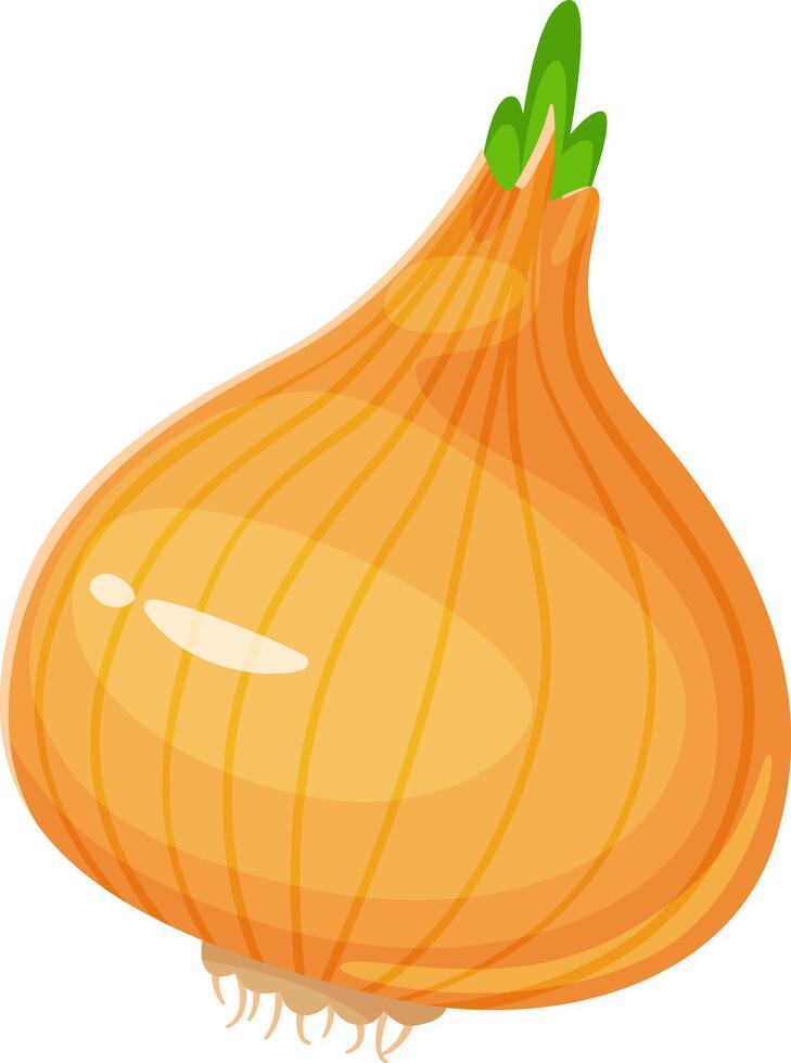 Ripe onion bulb with green sprouts growing from the top, creating a visually appealing contrast against the smooth, light brown surface of the vegetable, isolated on a clean white background vector