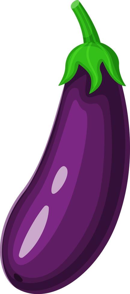Ripe purple eggplant, adorned with a vibrant green stem, thriving in the garden, awaiting harvest for use in a variety of delicious and healthy recipes vector