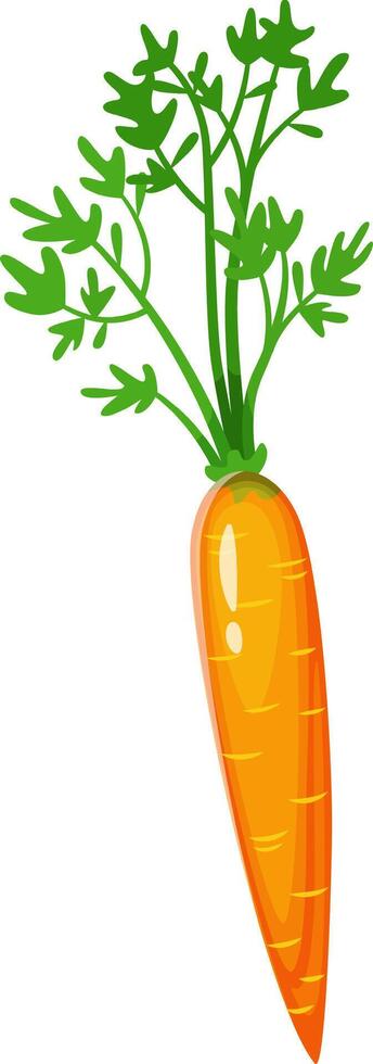 Illustration of a bright orange carrot with lush green leaves, showcasing its fresh and organic appearance. Perfect for themes related to healthy eating and agriculture vector
