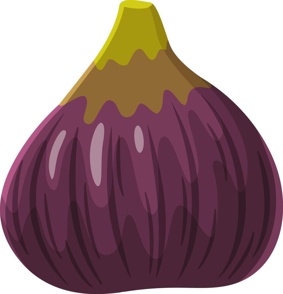 Cartoon illustration of a single ripe fig fruit with a green stem, isolated on a white background, showcasing its vibrant purple skin and unique texture vector
