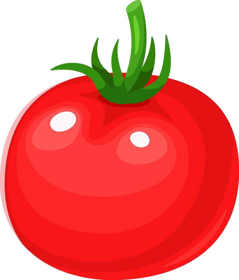 Cartoon illustration of a ripe, red tomato with a vibrant green stem, conveying freshness and readiness for consumption, perfect for culinary or healthy eating themes vector
