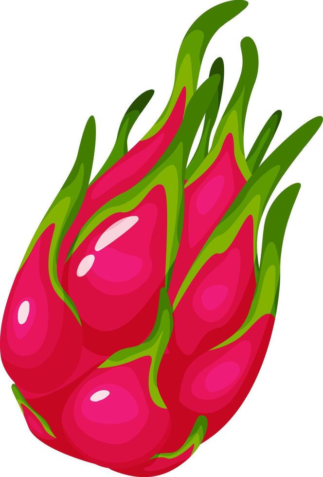 Vibrant pink and green dragon fruit with prominent scales and succulent appearance, showcasing freshness and exotic appeal, isolated on white background vector