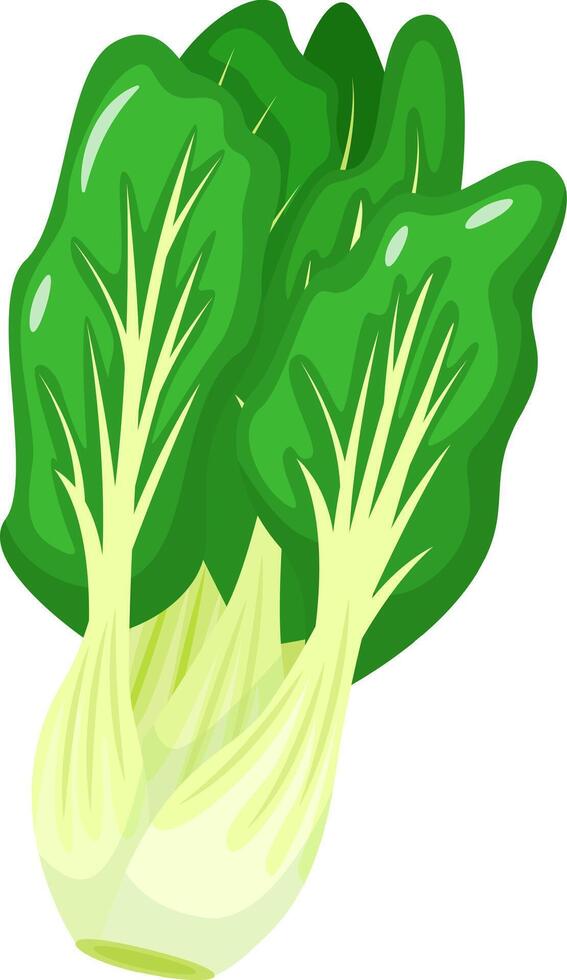 Detailed illustration of a fresh, green bok choy with lush leaves and crisp stalks. Perfect for depicting healthy eating, Asian cuisine, or vegetarian lifestyle concepts vector