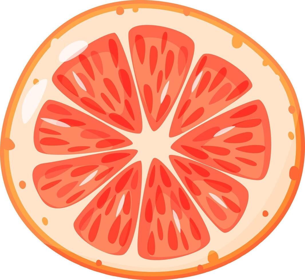 Close up view showcasing a juicy grapefruit slice, highlighting its vibrant segments and textured flesh, creating a refreshing and healthy visual ideal for promoting nutritious eating vector