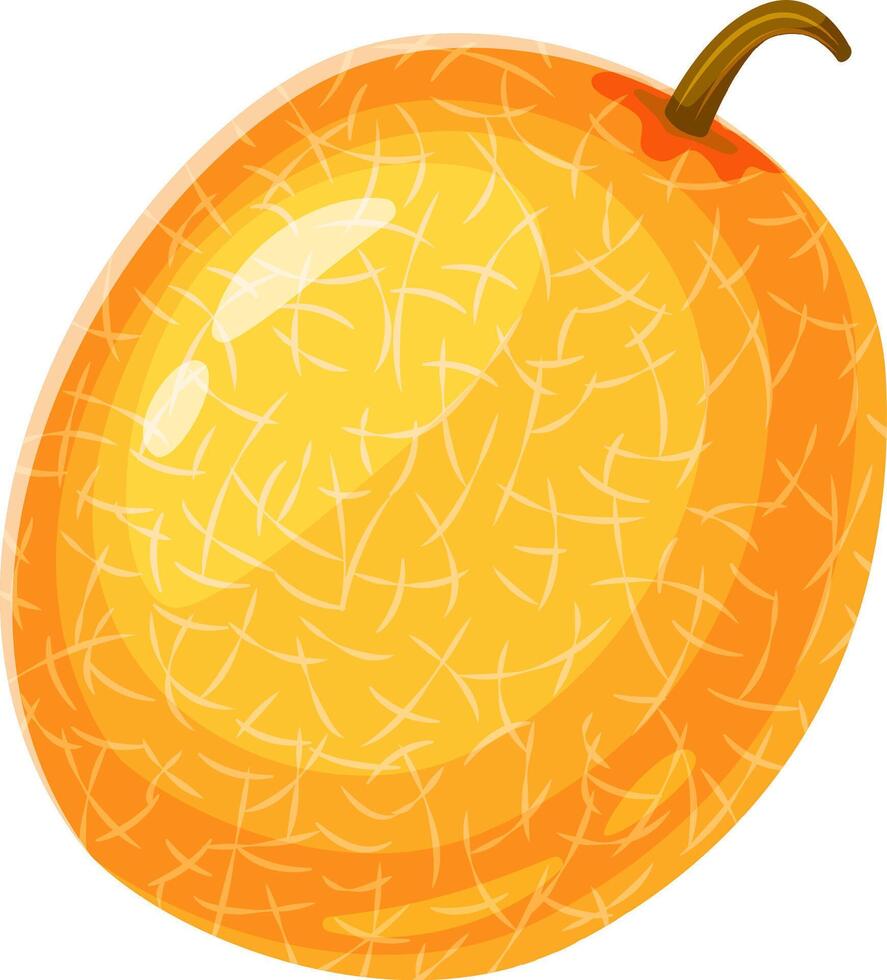 Whole single ripe melon with characteristic textured skin and stem, showcasing its freshness and juicy sweetness, perfect for summer desserts and healthy snacks vector