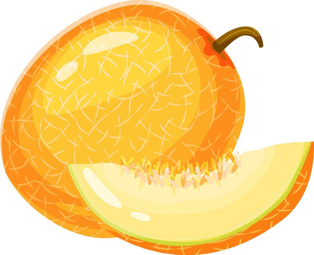 Ripe melon with characteristic rind and a slice displaying its juicy pulp, small seeds, and refreshing appeal, perfect for summer desserts and healthy snacks vector