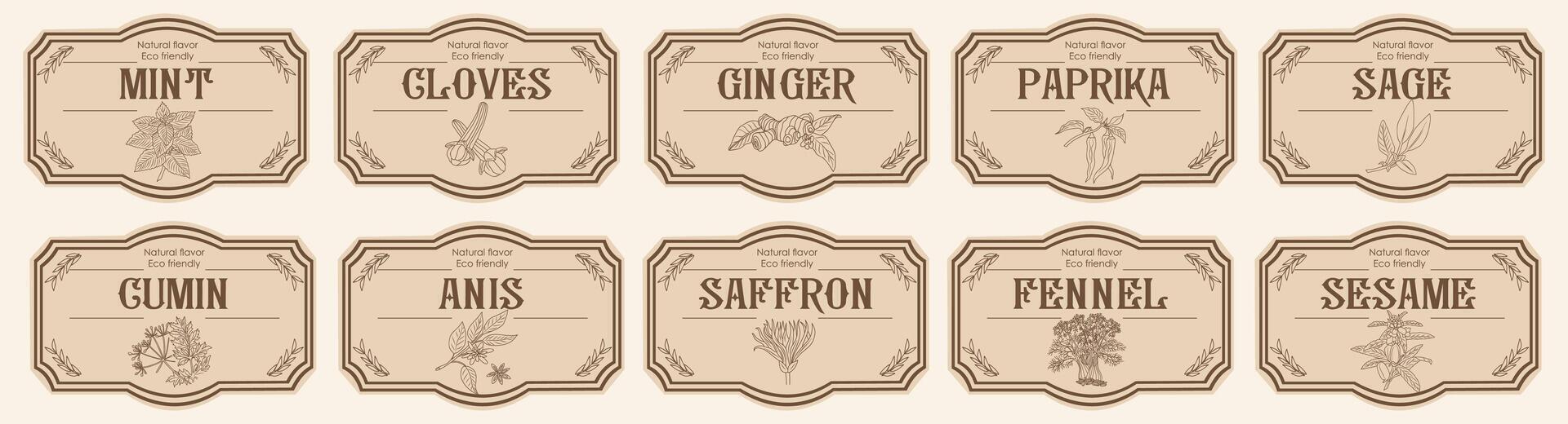 Set of spice jar labels with herbs sketches, paprika, cloves, sage, mint, anis, saffron, fennel. Packaging and labeling template. Organic, natural flavor kitchen stickers vector