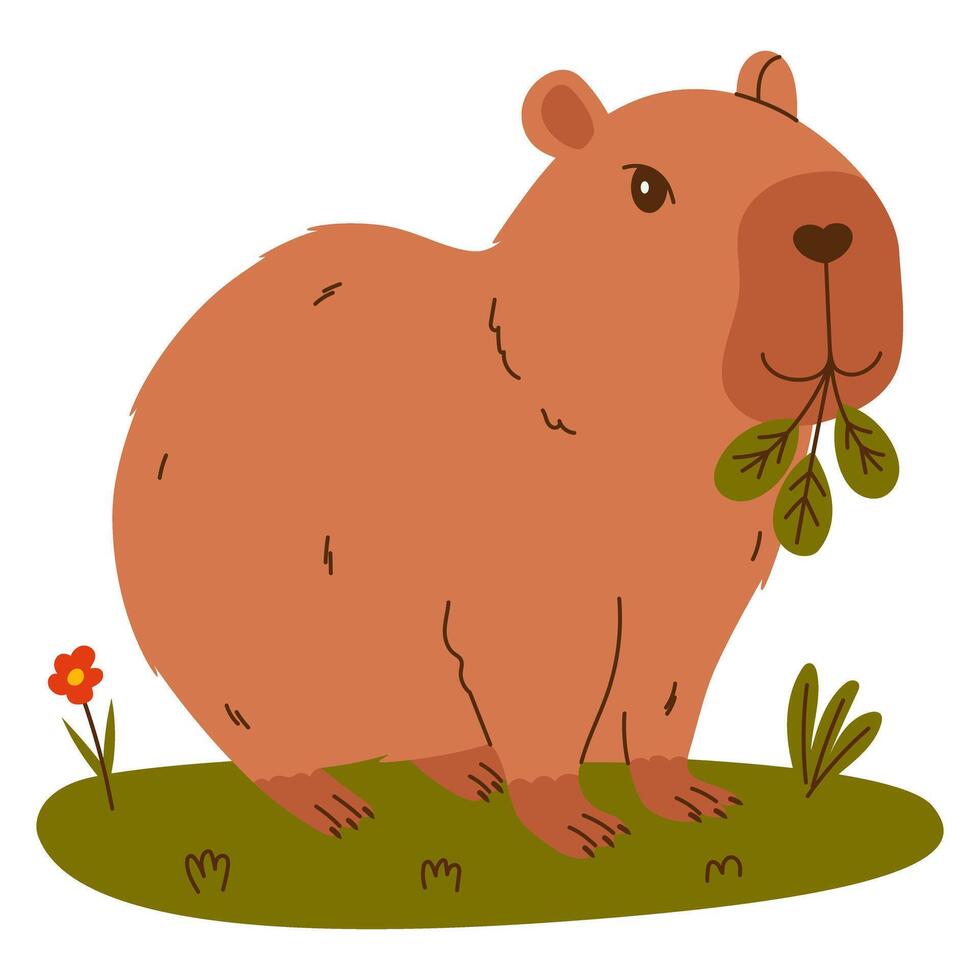 Funny capybara. Exotic rodent eating leaves. Hand drawn illustration. vector
