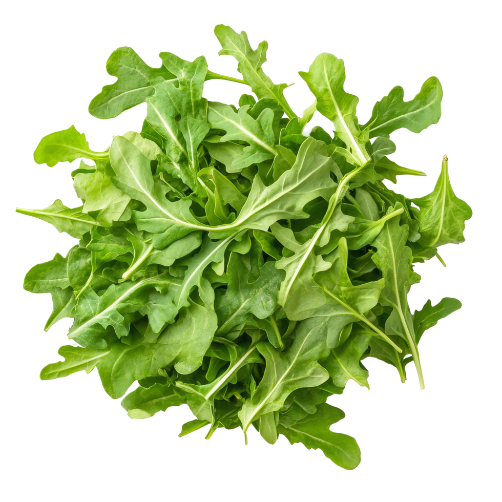 Freshly harvested rucola salad leaves artfully arranged on a bright transparent background for culinary inspiration, Sweet rucola salad or rocket lettuce leaves isolated on transparent background png