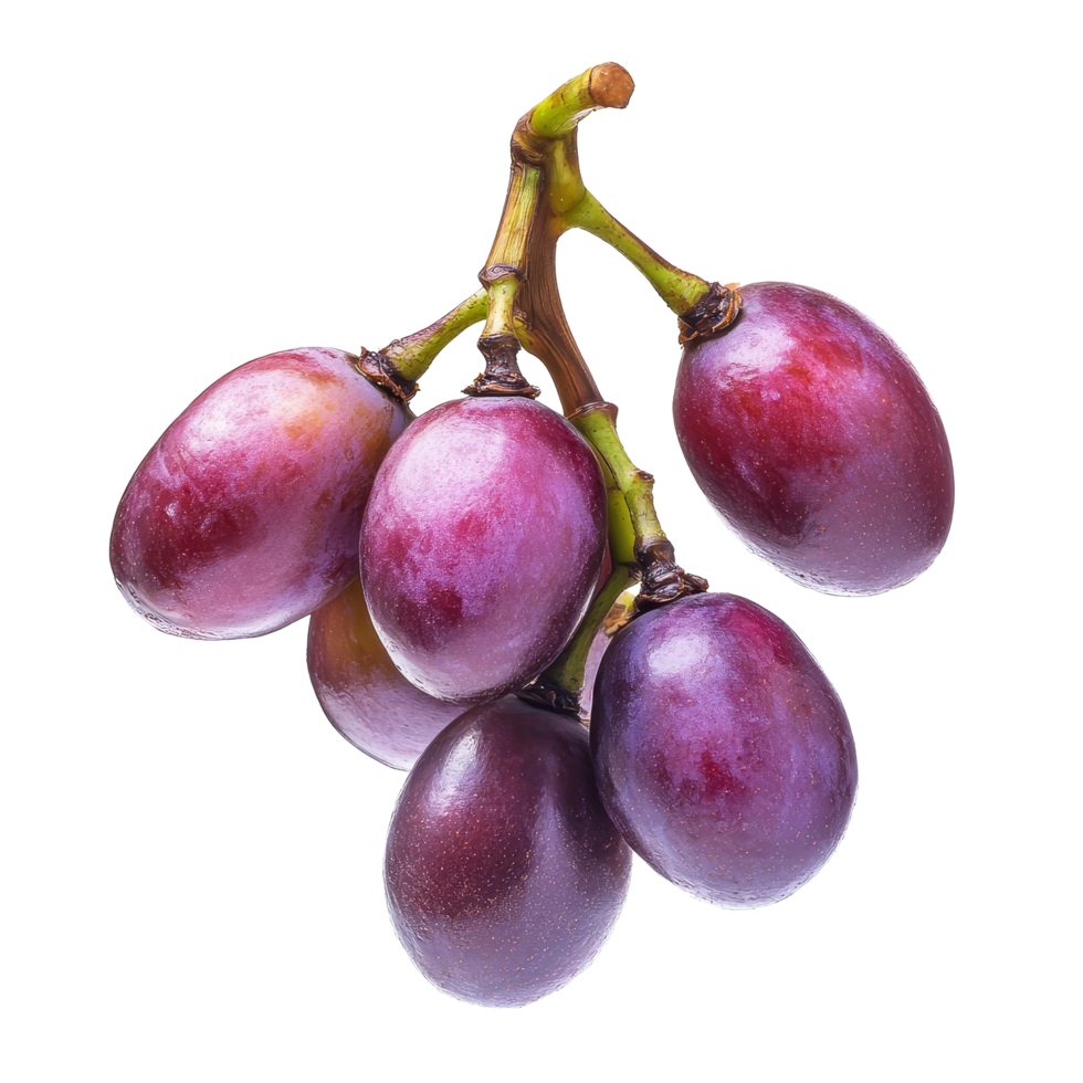 Burmese grape tropical fruit cluster isolated on transparent background for culinary and nutritional exploration, burmese grape, tropical fruit isolated on transparent background png