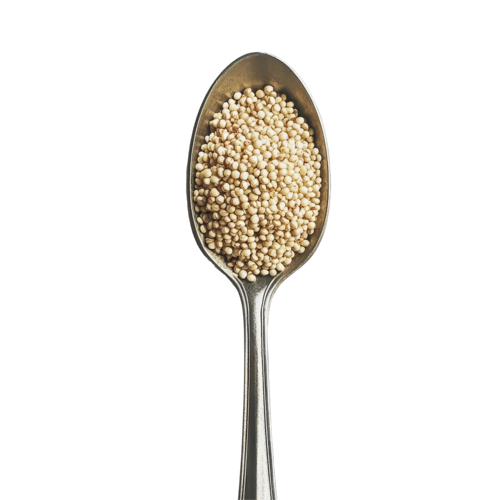 Quinoa grains in a silver spoon against a clean transparent background showing a healthy ingredient for cooking and nutrition, Quinoa in a spoon on transparent background png