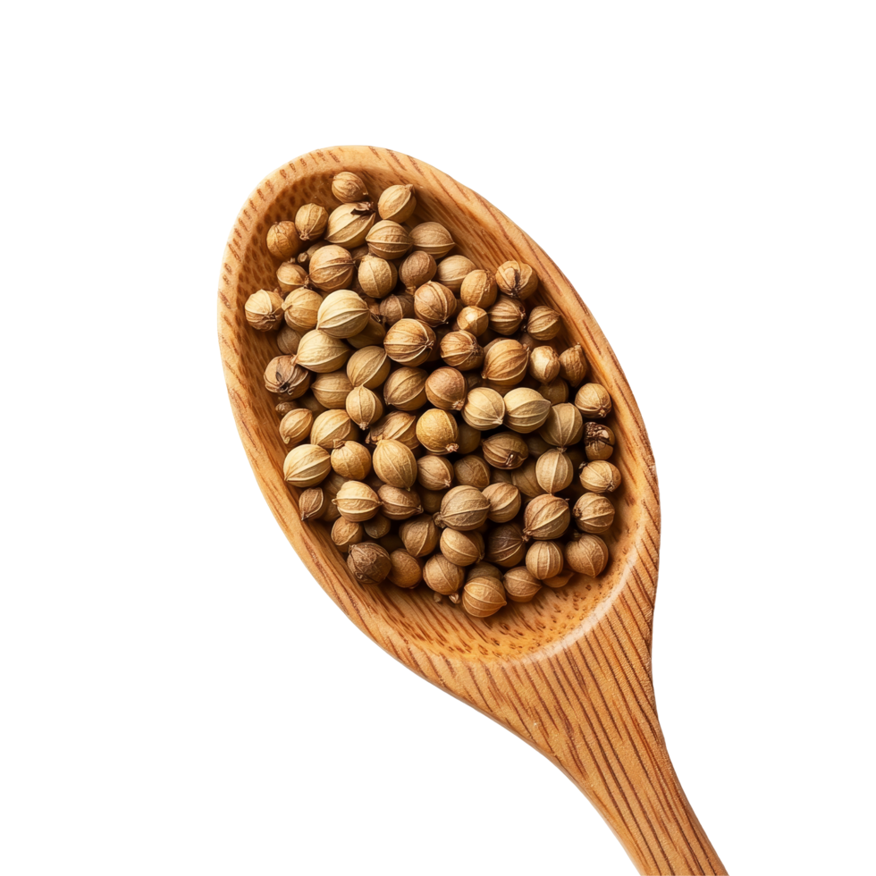 Coriander seeds in a wooden spoon on a transparent background, showcasing their natural brown hues and texture, Coriander seeds in wood spoon on transparent background png