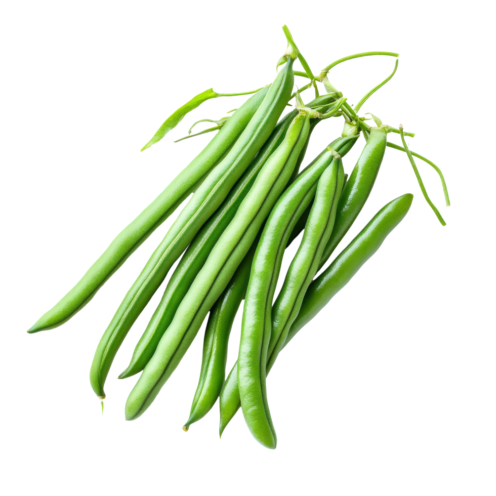 Fresh green bean seeds scattered on a transparent background showcasing their vibrant color and healthy appearance, Green beans seeds on transparent background png