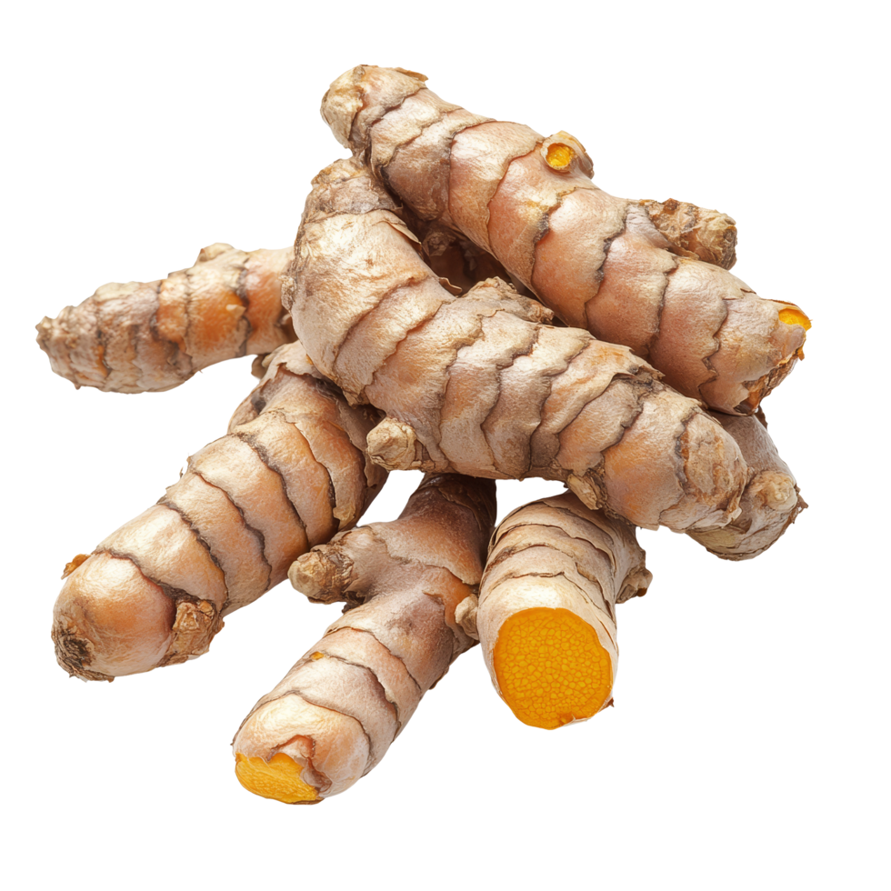 Fresh turmeric roots isolated on a bright transparent background showcasing their distinctive texture and color, turmeric roots isolated on transparent background png