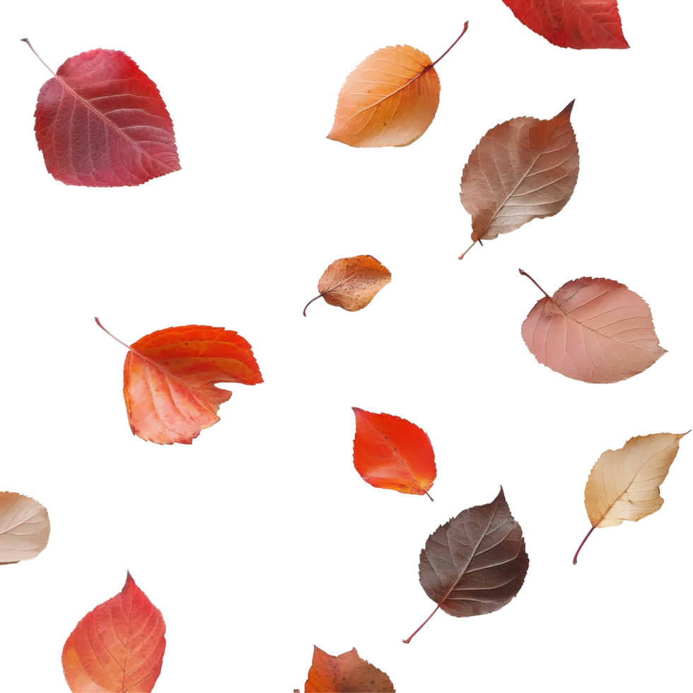 Colorful autumn leaves scattered on a transparent background creating a vibrant seasonal display, Autumn leaves transparent background big png