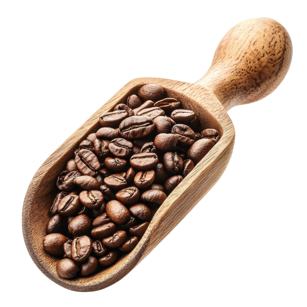 Roasted coffee beans in a wooden scoop on a soft tan background for a warm, inviting coffee experience, roasted coffee beans in wood scoop isolated on tansparent transparent background. png
