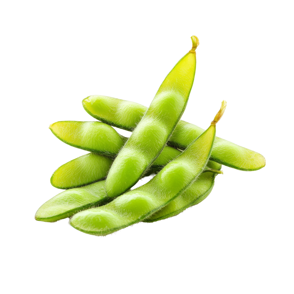 Fresh edamame soybeans arranged neatly on a bright transparent background for culinary display or healthy snack ideas, edamame soy beans isolated on transparent background png