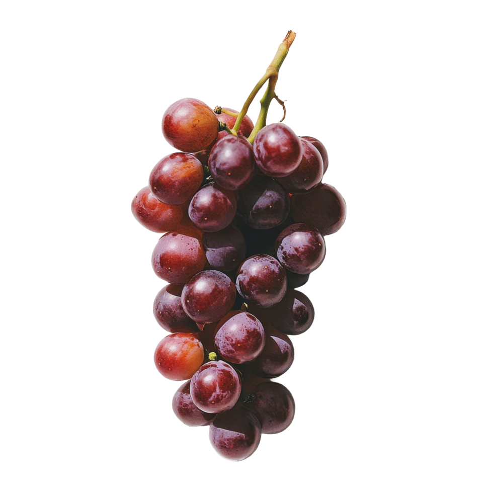 Burmese grapes arranged on a transparent background with a hue showcasing their vibrant colors and texture, Burmese grape on transparent background png