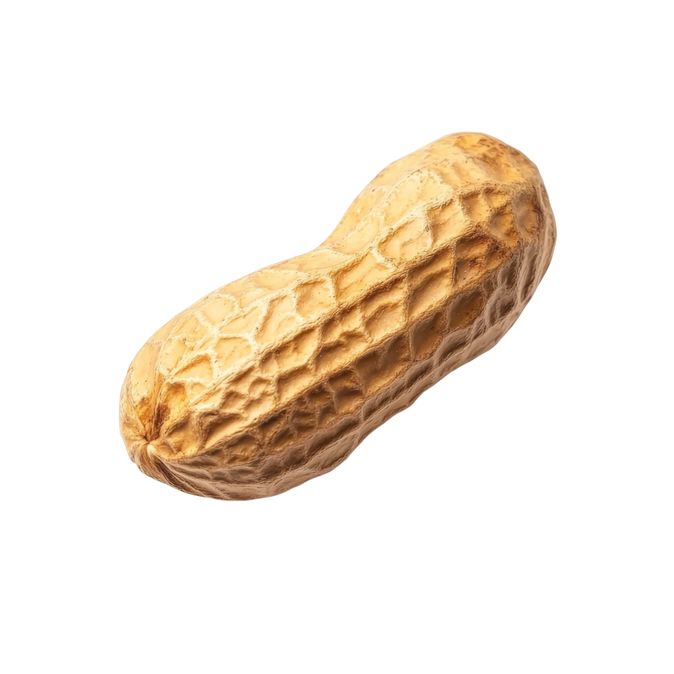 Single peanut on a transparent background highlighting its unique texture and natural shape, Single peanut isolated png
