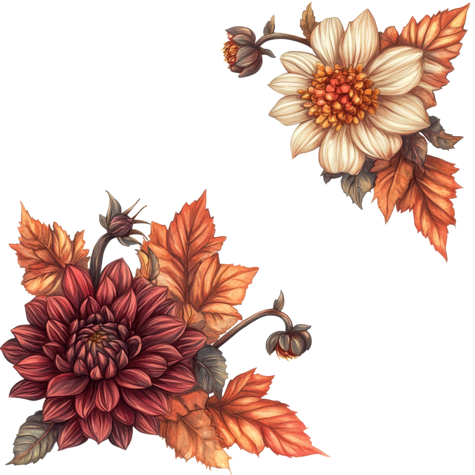 Autumn floral corner border design featuring transparent transparent dahlias and vibrant leaves, Autumn floral corner border with dahlia transparent background png