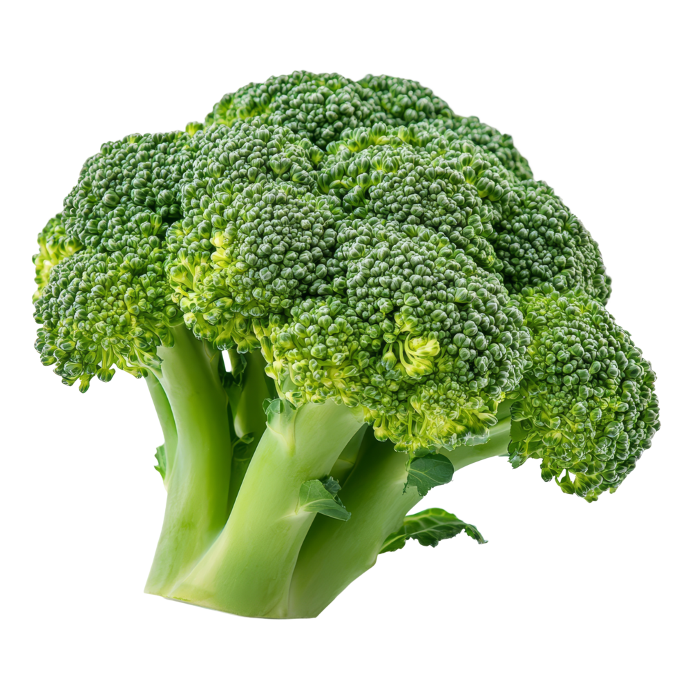 Fresh broccoli showcasing vibrant green color isolated against a transparent background, broccoli isolated on transparent background png