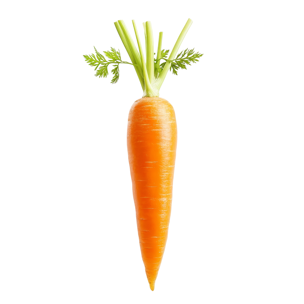 Fresh carrot isolated on a transparent background showcasing its vibrant color and crisp texture, Carrot isolated on transparent background png